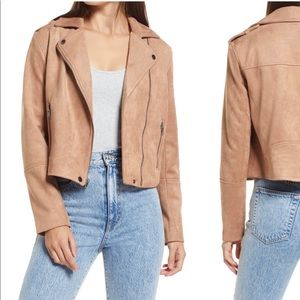 BB Dakota by Steve Madden Jet Set Faux Suede Moto Jacket